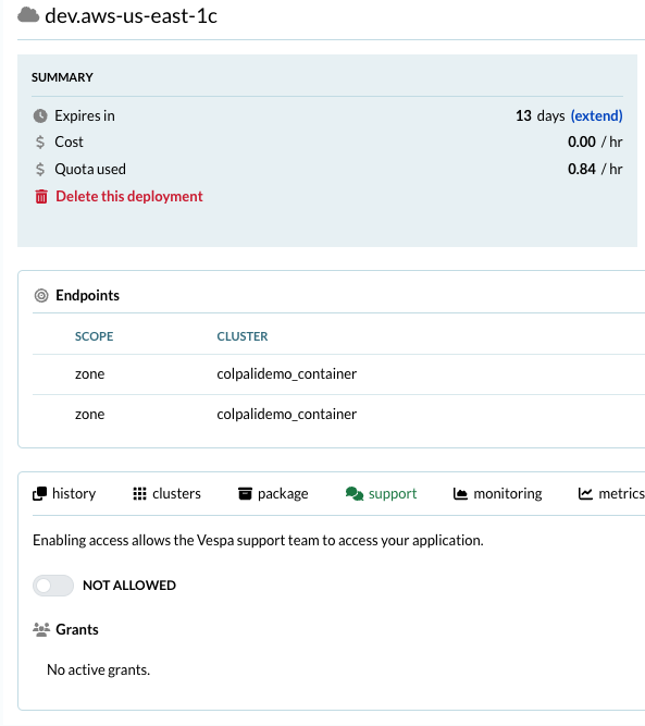 Grant dataplane access in dev environment